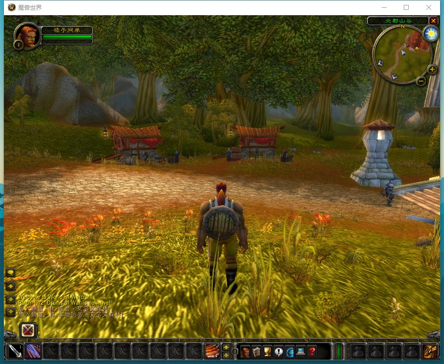 典藏怀旧端游【WOW魔兽世界60级完美版】最新整理Win系服务端+PC客户端+网页注册+假人+GM指令教程+详细搭建教程